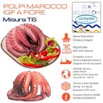 POLPI MAROCCO MISURA F3 T6 IQF 800/1200 (octopus vulgaris)